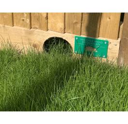Protecting hedgehogs at Blackmore Meadows